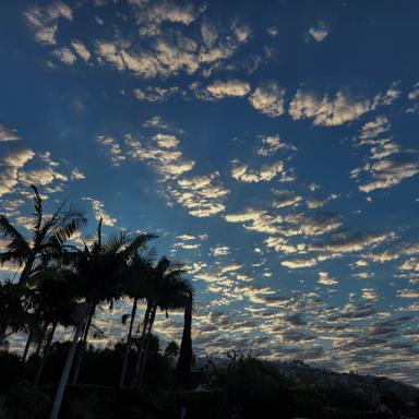 Scattered clouds with blue sky and palm trees